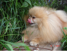 DSC00656.JPG