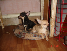 DSC00545.JPG