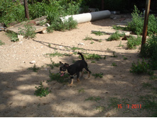 DSC00765.JPG