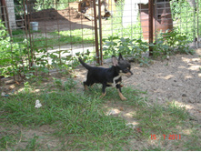DSC00840.JPG