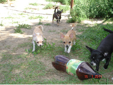 DSC00845.JPG