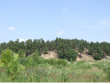 DSCF7593_����� ������.JPG