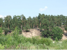 DSCF7594_����� ������.JPG