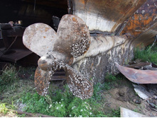 DSCF7595_����� ������.JPG