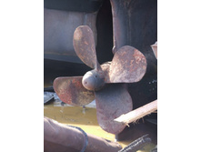 DSCF7597_����� ������.JPG