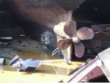 DSCF7611_����� ������.JPG