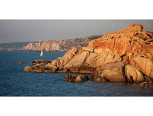 ������. ��������