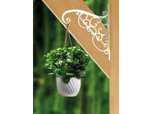 ���� ��������� ��� �����