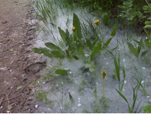 ��� � ����������.jpg