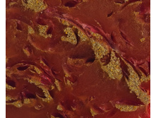 ������� ����� � ������� ������ ������� ������