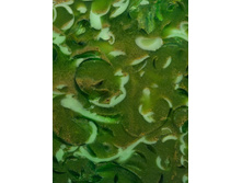 ������� ����� � ������� ������ ����