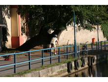 IMG_1634_resize.JPG