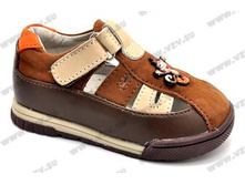 537 ���. ��������� ���: 21-26