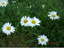 ����������� 201.jpg