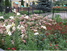 ������� ������ ����, �����-������� � ������-�������