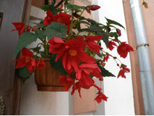 ������. �������.