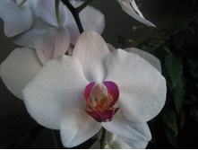 ����������� 015.jpg