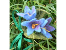 ����� �����������