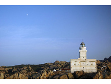 ���� �� �����, ��������