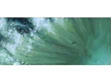 Falls of Rauros 2.jpg