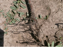 ����2011 012.jpg