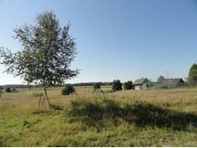 DSC01575.JPG