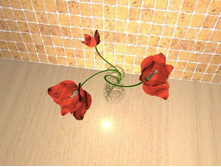 ����� 3.jpg