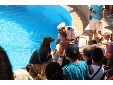 �������� 3.JPG