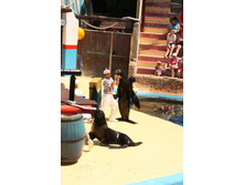 �������� 4.JPG