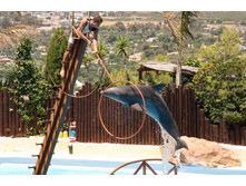 �������� 6.JPG