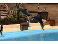 �������� 7.JPG