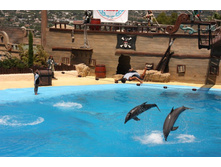 �������� 8.JPG