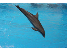 �������� 10.JPG