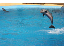 �������� 11.JPG