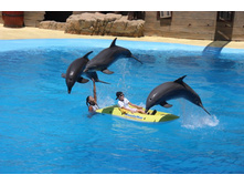 �������� 13.JPG