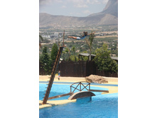 �������� 14.JPG