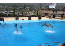 �������� 16.JPG