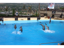 �������� 17.JPG