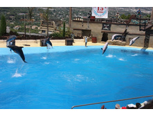 �������� 18.JPG