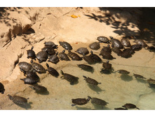 �������� 19.JPG