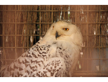 �������� 20.JPG