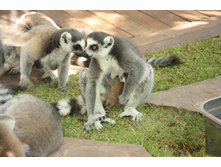 �������� 21.JPG