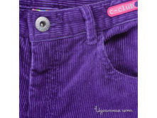 ���� ���������� ����