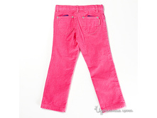 ���� ���������� ����