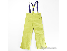 ���� ����������� ���������������