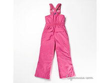 ���� ����������� ���������������