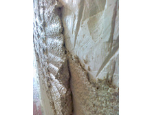 ����������� 019.jpg