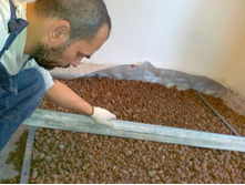 ����������� 075.jpg