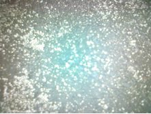 ����������� 086.jpg