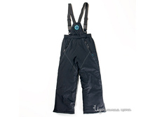 ���� ����������� �/�������